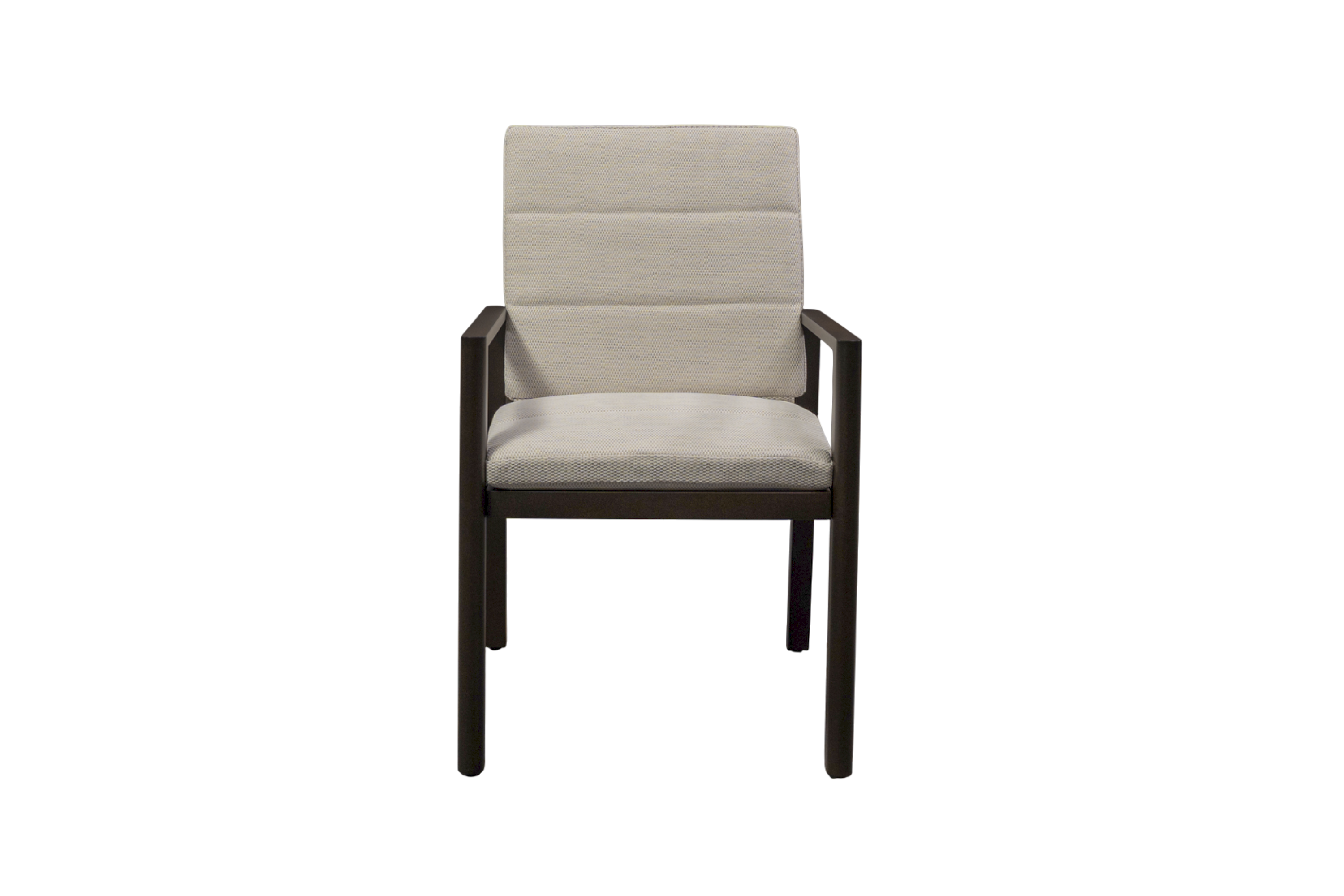Venetia Dining Chair 2 Pack- Olefin